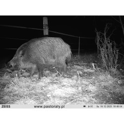 Fotopułapka Zeiss Secacam 3